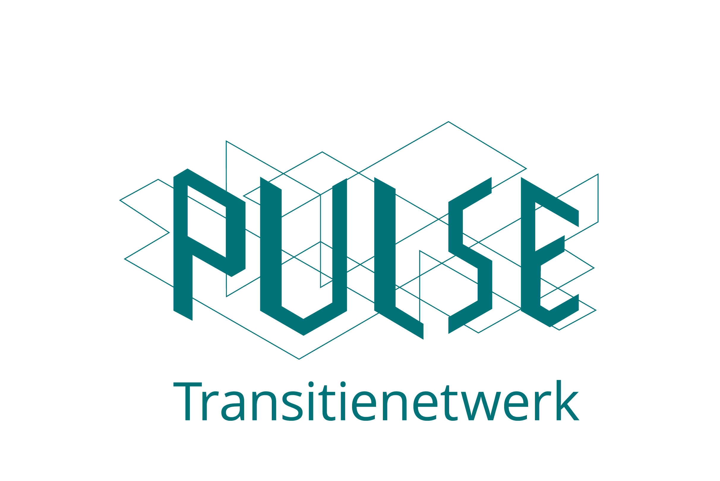 Logo Pulse Transitienetwerk