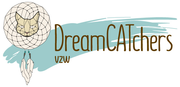 DreamCATchers vzw