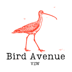 Bird Avenue VZW