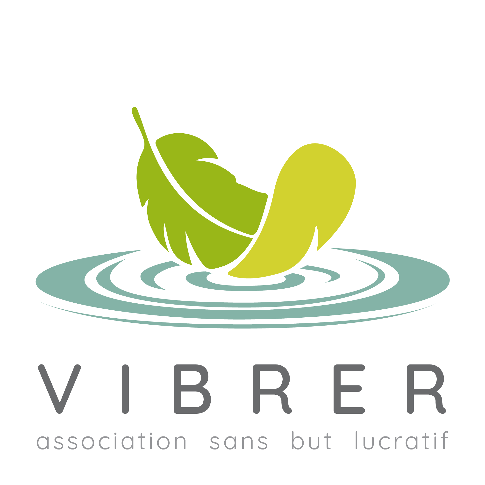 Logo VIBRERasbl