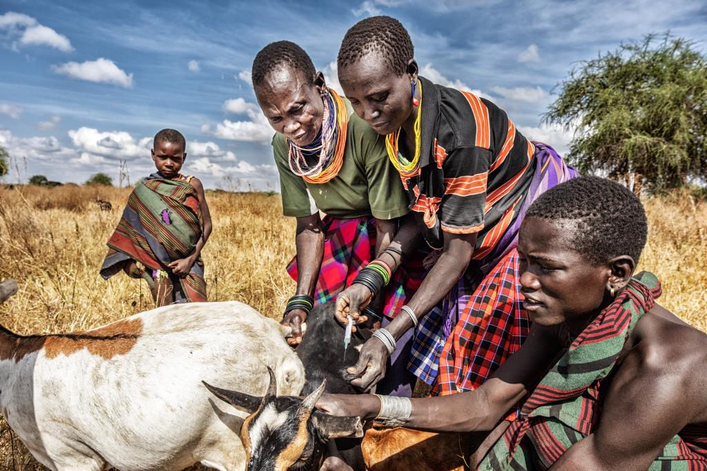 Agents Communautaires de Santé Animale, Karamoja, Ouganda © Tim Dirven