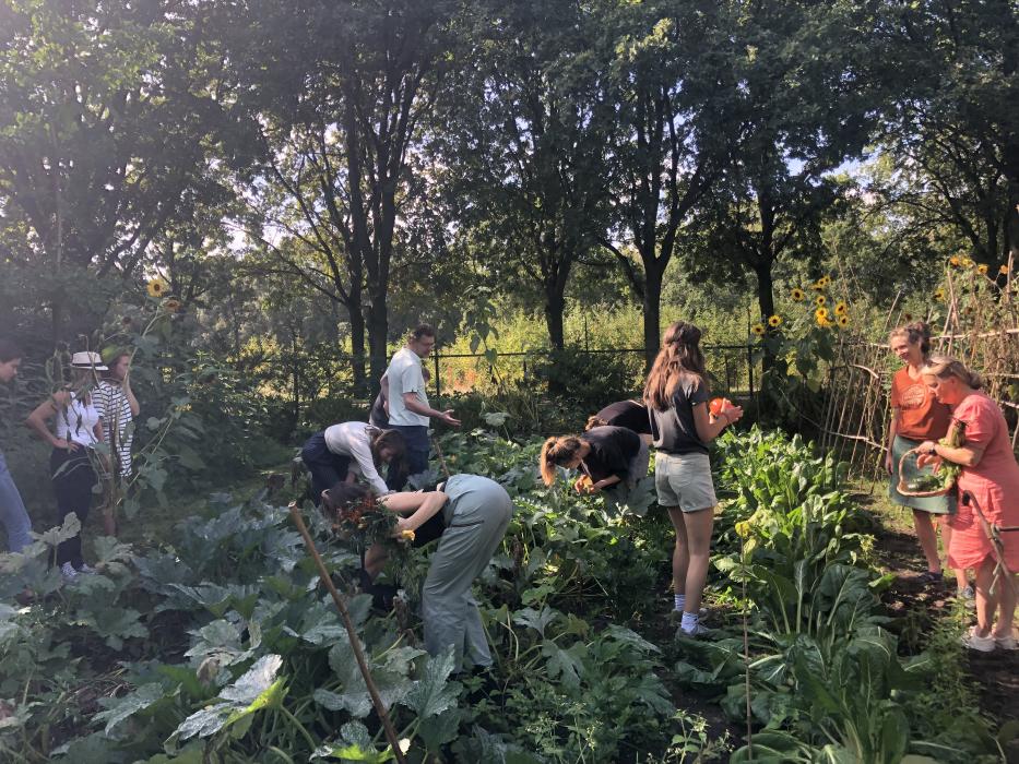 oogsten in het Bloemenbos 