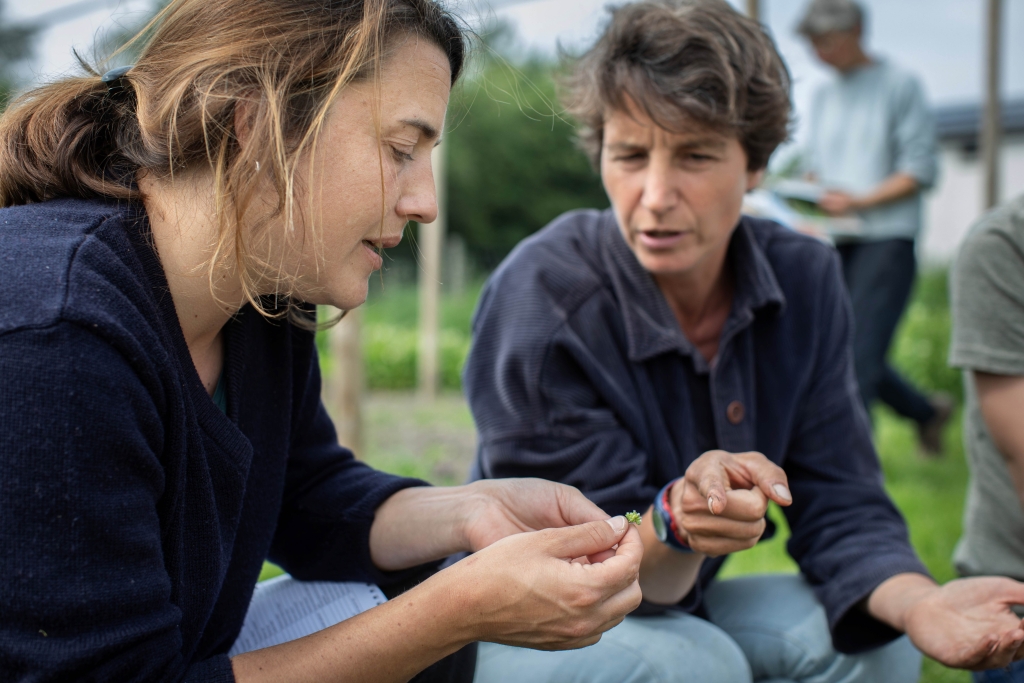 Beroepsopleiding biologische landbouw