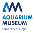 Aquarium-Muséum Universitaire de Liège (AqMu)